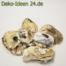 deko-ideen24-blog-meeresdeko-muscheln-natur