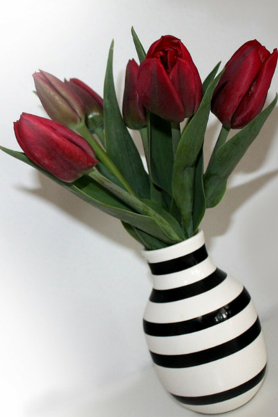 deko-ideen24-blogartikel-color-spray-vase-tulpen