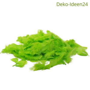Blog Deko-Ideen24: Federn lose - grün