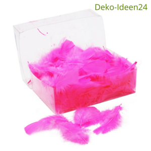 Blog Deko-Ideen24: Federn lose - pink