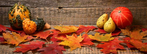 Herbst Deko mit Kürbissen und Blättern