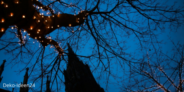 Deko-Ideen24 Blog:  Lichterkette um einen Baum gewickelt im Hintergrund eine Kirche