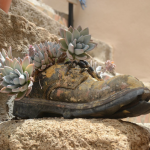Deko-Ideen24 Blog: Schuh bepflanzt