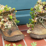 Deko-Ideen24 Blog: Schuhe bepflanzt