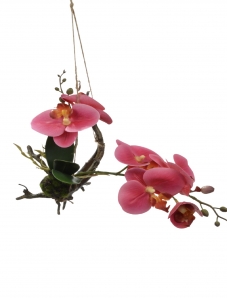 Orchidee an Wurzel pink 30cm 1Stk