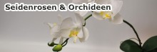 Seidenrosen &  Orchideen