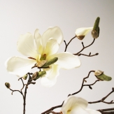 Magnolienzweig creme 107 cm Seidenblume Kunstblume