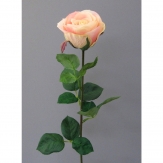 Gartenrose Langstiel hellrosa 69cm 6 St.