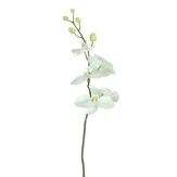 Orchideenzweig weiß 92cm 3Stk