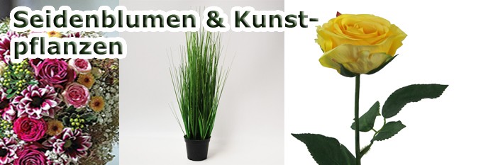 Seidenblumen &  Kunstpflanzen